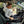 Load image into Gallery viewer, Gorla Gear Beige Premium Universal Fit Waterproof Stain Resistant Car Seat Cover Neoprene Non-Slip Bucket Seat Dog Kid Protector Van Truck SUV Sedan
