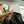 Load image into Gallery viewer, Gorla Gear Beige Premium Universal Fit Waterproof Stain Resistant Car Seat Cover Neoprene Non-Slip Bucket Seat Dog Kid Protector Van Truck SUV Sedan
